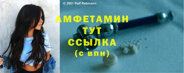 крисы Аркадак