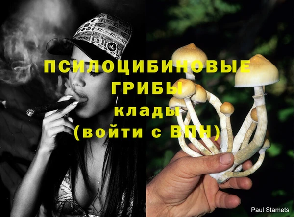 марки nbome Балабаново