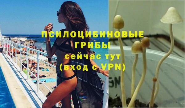 крисы Аркадак