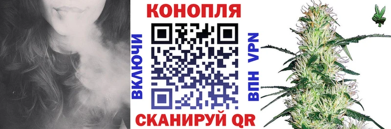 Канабис White Widow  Стародуб 
